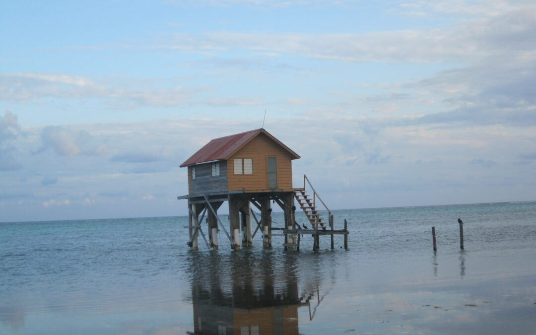 Reflection of Progress