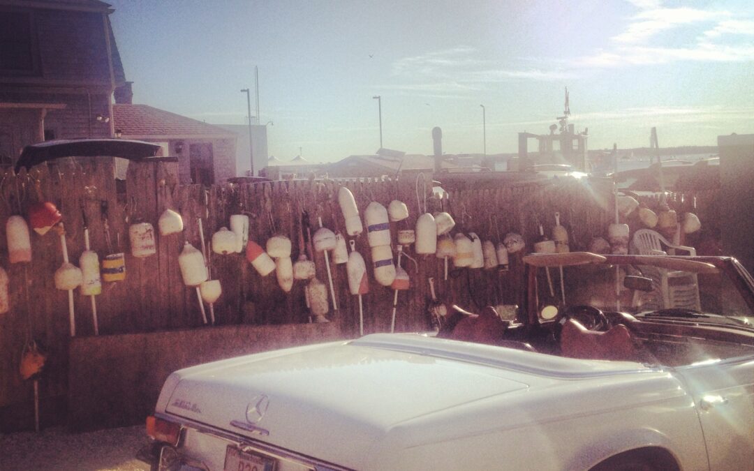 Cape Cod Photo Diary