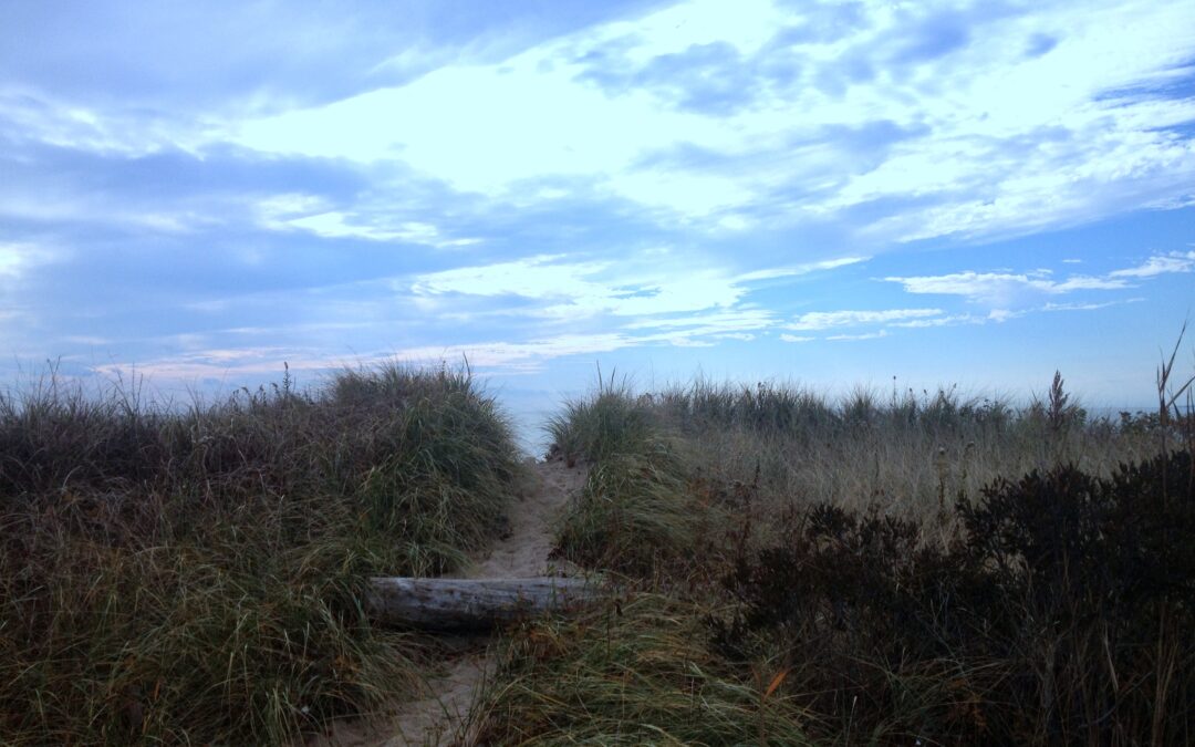 November in Connecticut